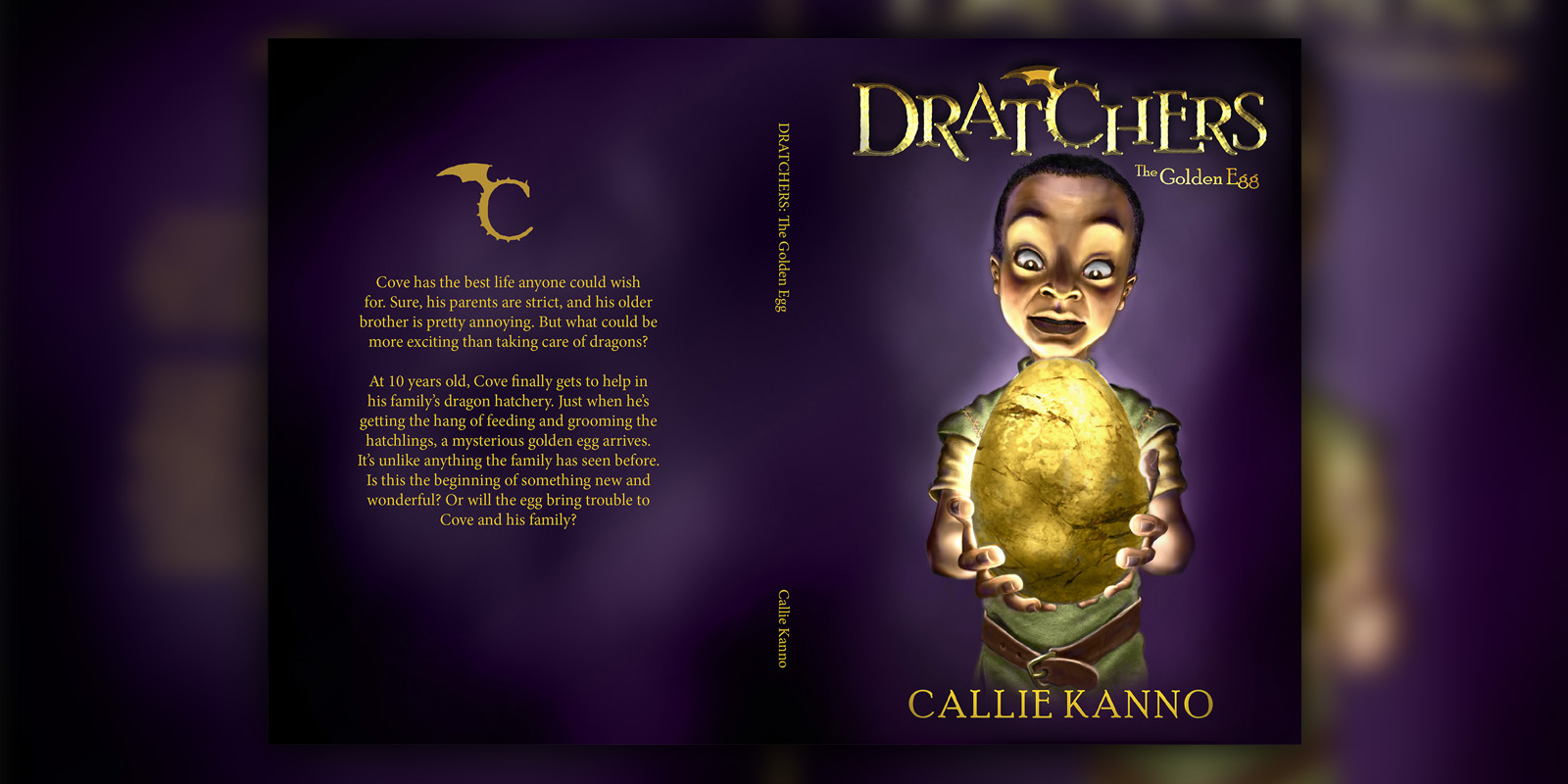 Book cover illustration services thumbnail.